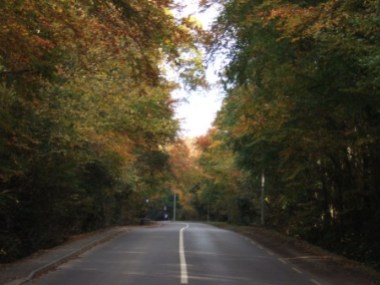 Dublin Road, near Malahide